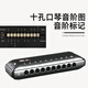 Guoguang 10 Hole Country Light Blues Harmonic (Frosted Black, Resin Core, Resin Cases)