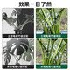 
iosn Monstera Support Pole Flower Support Frame Branches and Trunks Retraction Frame Plant Anti-Lost Support Special Green Plant Flower Frame Fixation [Updated Transparent Acrylic] 5 Packs of Clusters
