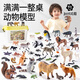 
Knowledge Garden Animal Model Toys Children's 3-6 Years Old Zoo Boy and Girl Birthday Gifts Set 46-Piece
