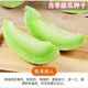Qizhe's new variety of sweet jade mushroom, melon, honeydew and cantaloupe seeds are high-yielding and easy to grow and can be sown in all seasons. Fresh fruit seeds can be sown in all seasons. Sweet Yuru melon seeds 120 capsules