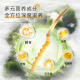 东阳光有机冬虫夏草3-4根/克  新干虫草礼盒 补品送父母长辈端午节礼物 11克【送礼甄选】