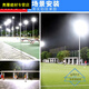 喆炜德国进口品质太阳能灯户外庭院灯新农村一拖二家用室内天黑自动亮 180000W-H两个头29848LM灯珠*2