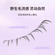 Beauty Skin Adhesive Free False Eyelashes Polaris Lower Eyelashes 80 Clusters Comic Eye Small Flame Self-Adhesive Transparent Stem MF8983