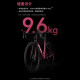 XIDESHENG READ BIKE 2025 AD350 Carbon Fasergabel -Kraftmessgerät Ultraleiche Aluminium Pneumatic Fitness Bike Taubengrau [komplettes Fahrzeugversand] 480 mm