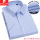 
Pier Cardin summer thin short-sleeved shirt for men, middle-aged and young business professional work clothes blue shirt for men, half-sleeved solid color work clothes DX6629 38 (recommended 100-120 Jin [Jin equals 0.5 kg])