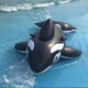Chaosihui Riese dicker Hai großer schwarzer Wal Wasser surfen Artefakt Erwachsener Schwimmkreis Kinder Wasserspielzeug Surfen Neue große schwarze Wal