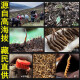 2 Cordyceps sinensis en el área nevada de Tongrentang, Beijing / Gram auténtico Cordyceps sinensis Box de regalo 10
