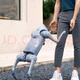 
Unitree Go2 robot dog Secondary development Multi-scenario application solution Go2 Air