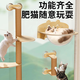 MamyPets suction cup cat climbing frame space capsule cat nest wall type punch-free glass balcony hanging nest cat hammock cat jumping platform suction cup installation round space capsule