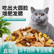 He Jian Gong Fresh Meat Nutritional Cat Food 5 Jin Jin equals 0.5 kg Ocean fish flavor adult cat food Stray cats universal 10 Jin Jin equals 0.5 kg 4 Try 1 Jin Jin equals 0.5 kg Ziplock bag 1lb