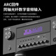 Xianke AK-999 Verstärker Home High Power Bluetooth KTV Heavy Bass Profession
