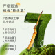 东阳光有机冬虫夏草3-4根/克  新干虫草礼盒 补品送父母长辈端午节礼物 11克【送礼甄选】