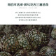 23 premios internacionales de ou shuai, la botella original de tequila tequila tequila mezcla de vinos espíritus de vino de vino ou shuai oro 750 ml de una sola pieza