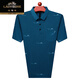 Klassiker-Auto kurzärmeliges T-Shirt für Männer im Sommer-Revers mit Taschen- und älteren Eisseide-Polo. Shirt Dad Anzug 753 Tic Toe [Grün] [kurze Ärmel] 3xl 185/96A empfohlen 160-180jin [Jin gleich 0,5 kg]