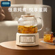 OIDIRE (Odd) health pot, all-glass floral teapot, tea kettle, constant temperature electric kettle, tea kettle 0 glue, multi-function 1L ODI-HC07 filter + stew pot