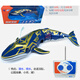 Mini remote control blue whale water spray simulation rechargeable speedboat submarine small shark playing water toy ship golden diving whale-40mhz standard charging-free remote control battery + tools