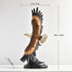 Taijinrui desk ornaments Dapeng spreading wings eagle crafts eagle sculpture TV cabinet entrance wine cabinet living room decoration BY2241 branch eagle