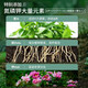 Devodo 16L plant nutrient soil universal flower growing soil vegetable growing soil organic soil green plant potted planting soil coconut bran peat