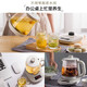 Bear Mini Health Pot Small One Person Tea Maker Constant Temperature Pot Flower Boiling Teapot Office Small Health Cup 0.8L Gift for Girlfriend Light Gray 0.8L 8 Large Stewing Functions YSH-A08U6