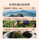 Zhongling Phoenix Dansong Duck Shit Fragrance Oolong First-class Spring Tea Authentic Chaozhou Gaoshan Dancong Self-drinking Gift 250g Canned