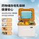 
Ice Master Small Insulation Box 5L Breast Milk Ice Refrigeration Box with Temperature Display Outdoor Portable Insulin Vaccine Food Fresh Box