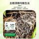 Powerful Rooting Powder Rapid Rooting and Seedling Strengthening Agent Rooting Powder Rapid Rooting Powerful Rooting Liquid Rooting Powder for Transplanting Rooting Powder 1 Jin Jin is equal to 0.5 kg, 1 pack
