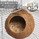 Runhuanian Coconut Shell Bird Nest Tiger Skin Peony Parrot Pet Bird Nest Warm Breeding Nest Bird Toy Supplies Pearl Bird Unpolished Screw Model Small (Suitable for 1 Pearl/1 Munia)