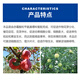 3.6% benzylaminopurine gibberellic acid growth regulator apple grape promotes fruit development and early maturity 100ml*1 bottle