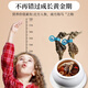海马药材一公一母大型海马干泡酒组合六角海龙海麻雀滋补汤料礼盒 1对2克（公母2只9-11cm）