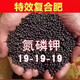 Stanley Compound Fertilizer Flower Fertilizer Chemical Fertilizer Nitrogen Phosphorus Potassium Green Plant Fruit Tree Flower Nutrient Soil Potassium Dihydrogen Phosphate Universal Universal High Efficiency Compound Fertilizer Bulk 5Jin Jin is equal to 0.5kg 2500g delivery spoon