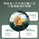 El primer rastrojo de Ayishe, Wild Fresh Cordyceps sinensis, Nagqu, Tíbet, 20 gramos de Cordyceps sinensis, directamente de la fuente
