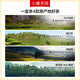 小罐茶园四时福饮组合茶大红袍滇红肉桂普洱128g礼盒小罐茶出品