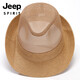 吉普（JEEP）中老年人帽子男夏天礼帽遮阳帽凉帽休闲户外网眼爸爸夏季透气 灰色 M(56-58cm)可调节