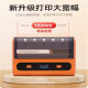 DETONG DP12369 DP12370 Etiqueta de residuos peligrosos Printer QR Código Generar automáticamente máquina de firma especial 12370 Impresora + 1 Rollo de papel 200*Etiqueta de residuos peligrosos de 200 mm