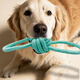 ZanChong Macaron Cotton Rope Teething Dog Toy 4-piece Set Dog Toy Bite-Resistant Teething Ball Pet Puppies Little Self-Happiness
