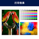 
Color flame is suitable for HP 938 ink cartridge Pro 9730 9720 9120 ink cartridge 9130 9110b color printer [938 ink cartridge] Four-color ink cartridge set (about 6800 pages)