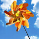 Tower Mengyu Windmühle Kinderspielzeug handgefertigt Laser Buntes Flash Sun Blume Windmühle Set Camping Outdoor School [Kombination 6] Orange Laser + farbenfrohe Sonnenblume