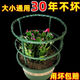 
Flower rack for home use, universal lazy crab claw orchid rack for lotus leaf guard rack for gardening potted plant splicing, easy installation [selected materials, random splicing] grab 153 pieces, essential flowers growers丨[3 layers, 18 pieces] can be stacked 8 layers