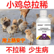Luanci chicks' open intestines, calming chicks' diarrhea, anorectitis enterotoxin, salmonella, general veterinary additive for chicks, 1 bottle of standing medicine for chicks, head down and close eyes