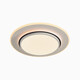JPHZNB2025 Новый магазин HAOYUE WCX11969 Гостиная спальня Потолочный свет Super Bright Modern Modern Simple HAOYUE 110070 HAOYUE 1100*700MM-160W-WHETE + BLACK