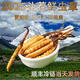 正品2025头期草新鲜冬虫夏草头茬虫草0.8克/根鲜虫草顺丰冷链发货 西藏鲜草每根0.5克50条送3条
