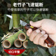 Zhengqi gardening mini folding saw household hand saw small handheld lumberjack sawing tool artifact DIY handmade
