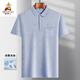 Vogelscheuche (mexikanische) Mitte des Herren-Revers mit kurzärztem T-Shirt Daddy Anzug im Sommer dünne Polo-Hemd mittlerer und ältere Eisseide halbärmelige Männer alte Mann Teise Seide-9855 Graues echtes Taschen M 48/165