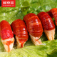 Fresh Jingcai ice-free crayfish tail (special grade) 2Jin Jin equals 0.5kg (80-100 capsules/Jin Jin equals 0.5kg) Same as Specifications, no additions