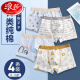 Langsha children's underwear boys pure cotton boxer pants cotton baby boys child medium big children medium big children shorts 12 years old Stegosaurus + DINO dinosaur + SHARKS3 strips AN-DH 135cmXXL125 to 13548-58Jin [Jin equals 0.5 kg] All size