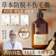 Wits Anti-Deletion Shampoo Ginger Hair Restraining Orchidontica Leaf Oil Control Anti-dandruff Shampoo Detoxification Men and Women's Golden List No. 1