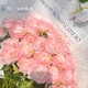Li Qiuke Ins Rosas falsas Adornos de ramo simulados Arreglo de flores y foto Diy de alto valor Regalo de hielo roto Decoración de la sala de estar azul Flores de hielo roto [9896% Piezas de opción de hada-12]