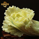 Peking Shijia Natural Jade Kohl Ornamente Xiuyu Jade Wohnzimmer TV