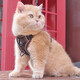 Pet cat leash, cute vest-style harness, anti-breakaway when going out, adjustable cat leash, dog harness, gray M size, recommended 6-9 Jin Jin equals 0.5 kg
