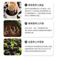 Manlife 16L Araceae nutrient soil for flowering and flower fertilizer gardening planting soil organic flower soil fertilizer potted green plant soil